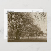 Oude batterij briefkaart (Voorkant / Achterkant)