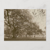 Oude batterij briefkaart (Voorkant)