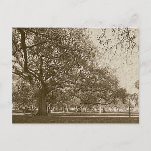 Oude batterij briefkaart (Voorkant)