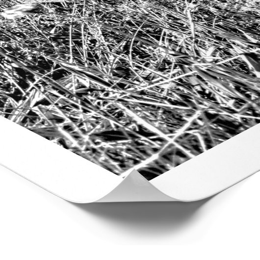 Oude blauwe auto in het veld Grass Poster (Hoek)