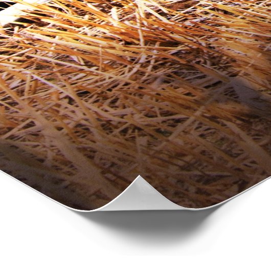 Oude blauwe boot poster (Hoek)