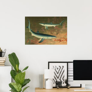 Oude Blauwe Haai die Vis Eet, Zeeleven Poster