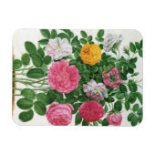 Oude Bloeiende Bloemen, Lente Tuinrozen Magneet (Horizontaal)