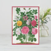 Oude bloeiende bloemen, lentetuinrozen (Staand voorkant)