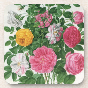Oude bloeiende bloemen, lentetuinrozen bier onderzetter