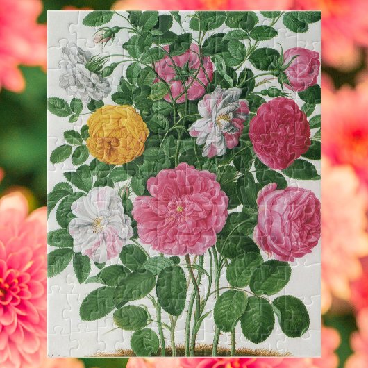 Oude bloeiende bloemen, lentetuinrozen legpuzzel