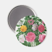 Oude bloeiende bloemen, lentetuinrozen magneet (Voorkant / Achterkant)