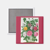 Oude bloeiende bloemen, lentetuinrozen magneet (Voorkant / Achterkant)