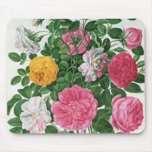 Oude bloeiende bloemen, lentetuinrozen muismat (Voorkant)