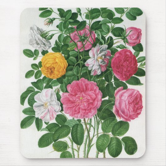 Oude bloeiende bloemen, lentetuinrozen muismat (Voorkant)