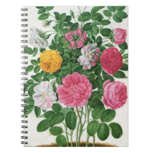Oude bloeiende bloemen, lentetuinrozen notitieboek