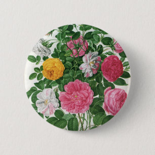 Oude bloeiende bloemen, lentetuinrozen ronde button 5,7 cm