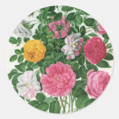 Oude bloeiende bloemen, lentetuinrozen ronde sticker (Voorkant)