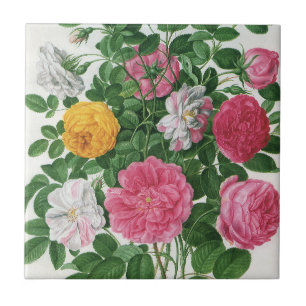 Oude bloeiende bloemen, lentetuinrozen tegeltje