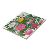 Oude bloeiende bloemen, lentetuinrozen tegeltje (Zijkant)