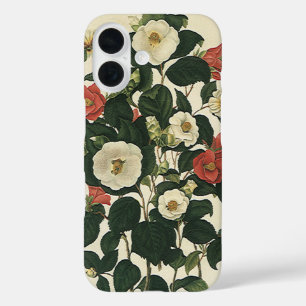 Oude bloemen, antieke tuingrozen bloemen iPhone 16 hoesje