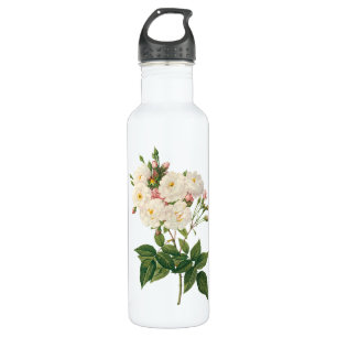 Oude Bloemen Bloemige Blush Noisette Roos Redoute Waterfles