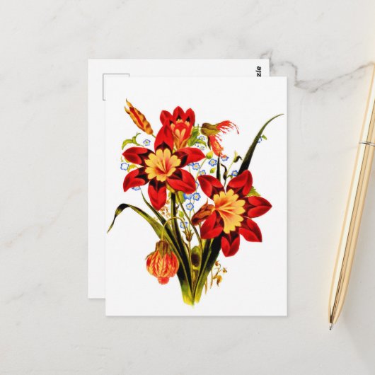 Oude Bloemen Briefkaart (Voorkant / Achterkant in situ)