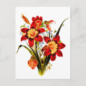 Oude Bloemen Briefkaart (Voorkant)