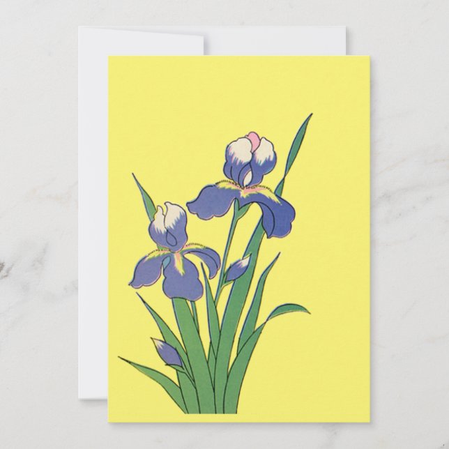 Oude bloemen, paarse lentetuin Iris bloemen (Voorkant)