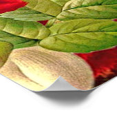 Oude Bloemen & Vlinders Waarde Poster Papier (Hoek)