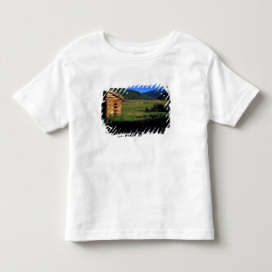 Oude blokhut bij Park City, Utah. (P.R.) Kinder Shirts