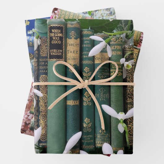 Oude boek stekels & bloesems inpakpapier vel (In situ)