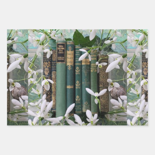 Oude boek stekels & bloesems inpakpapier vel (Voorkant)