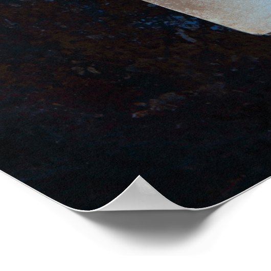 Oude boekpagina's met eucalyptusbladeren poster (Hoek)