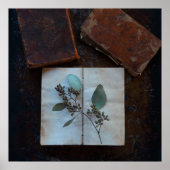 Oude boekpagina's met eucalyptusbladeren poster (Voorkant)