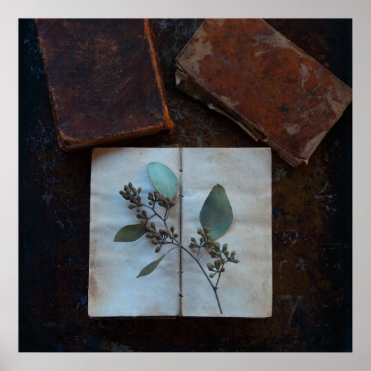Oude boekpagina's met eucalyptusbladeren poster (Voorkant)