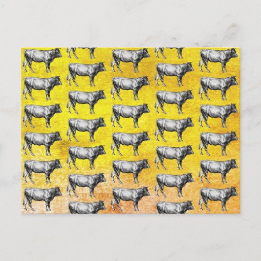Oude boerderij koe stier afbeelding briefkaart (Voorkant)