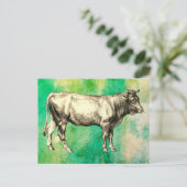 Oude boerderij koe stier afbeelding  briefkaart (Staand voorkant)