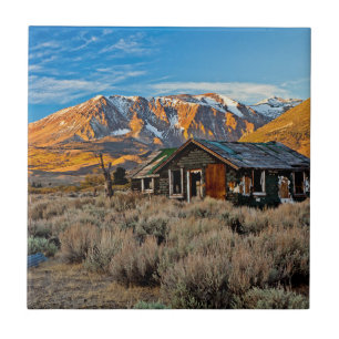 Oude boerderij langs Hwy 395 in June Lake Tegeltje