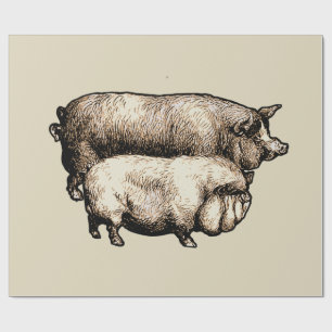 Oude boerderij varken landelijk antiek vee cadeaupapier