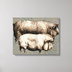 Oude boerderij varken platteland antiek vee canvas afdruk