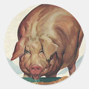 Oude boerderijdieren, varken dat slijk eet uit een ronde sticker