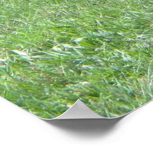 Oude Boerderijen Poster (Hoek)