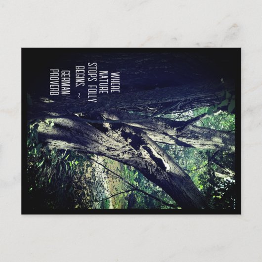 Oude bomen in de Bossen en het Duitse Briefkaart P (Voorkant)