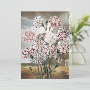 Oude bonte anjerbloemen met grijze lucht
