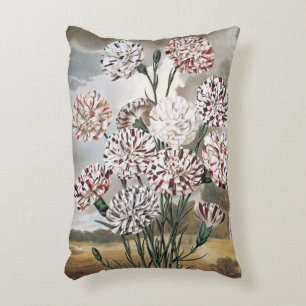 Oude bonte anjerbloemen met grijze lucht accent kussen