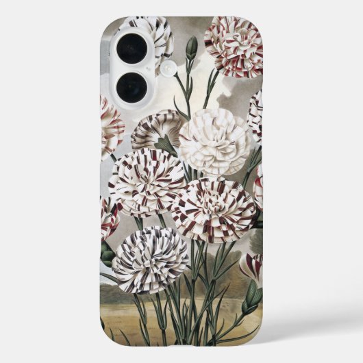 Oude bonte anjerbloemen met grijze lucht Case-Mate iPhone case (Achterkant)
