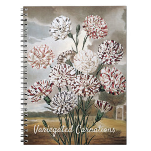 Oude bonte anjerbloemen met grijze lucht notitieboek