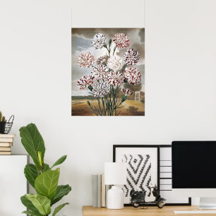 Oude bonte anjerbloemen met grijze lucht poster