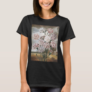 Oude bonte anjerbloemen met grijze lucht t-shirt