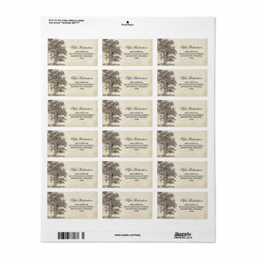 Oude  boom adresetiketten etiket (Full Sheet)