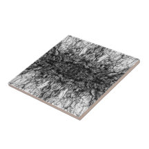 Oude Boom Bast Zwart En Wit Foto Patroon Ontwerp