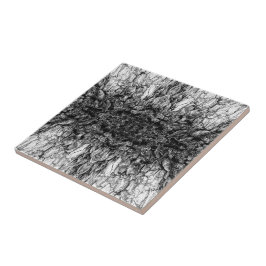 Oude Boom Bast Zwart En Wit Foto Patroon Ontwerp Tegeltje