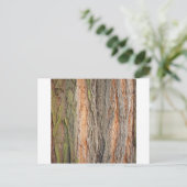 oude boom briefkaart (Staand voorkant)