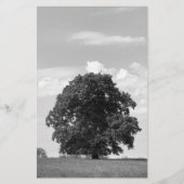 Oude boom briefpapier (Voorkant)